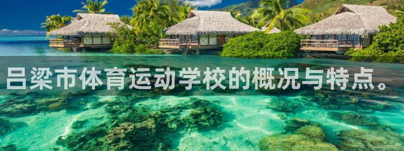 qq体育群打卡别人可以看见吗：吕梁市体育运动学校的概况与特点。