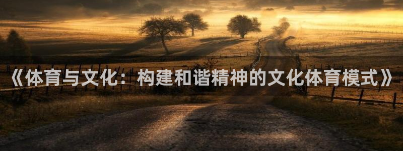 qq体育直播网：《体育与文化：构建和谐精神的文化体育模式》