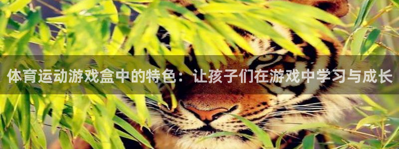 QQ体育直播：体育运动游戏盒中的特色：让孩子们在游戏中学习与成长